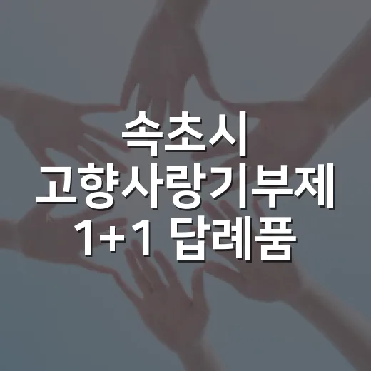 속초시 고향사랑기부제 1+1 답례품 이벤트