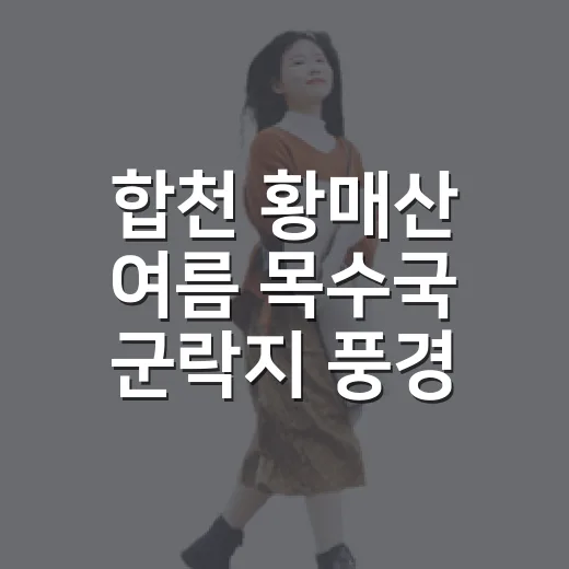 합천 황매산 여름 목수국 군락지 풍경
