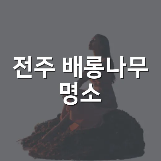 전주 배롱나무 명소, 시간 따라 변하는 풍경