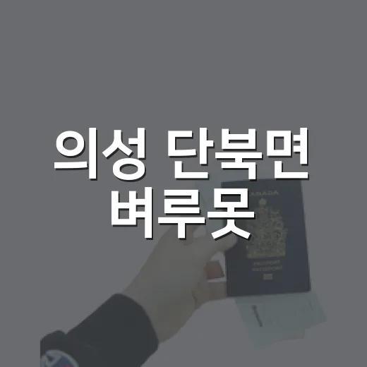 의성 단북면 벼루못, 여름 연꽃 명소