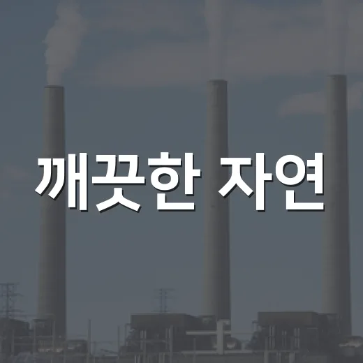 깨끗한 자연, 하천·계곡 불법행위 집중 단속