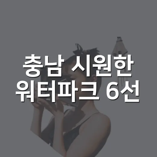 충남 시원한 워터파크 6선
