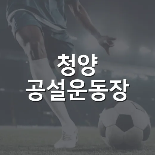 청양 공설운동장, 완벽한 운동 명소