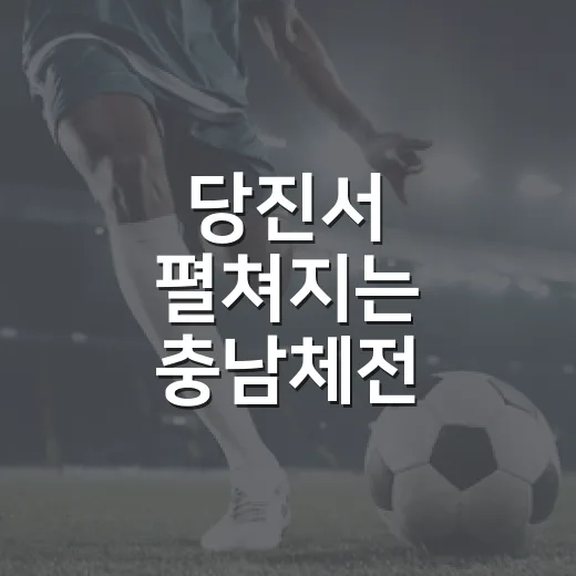 당진서 펼쳐지는 충남체전 대축제