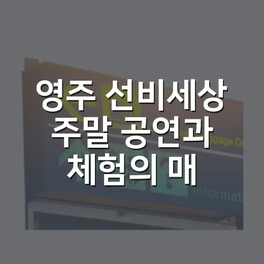 영주 선비세상 주말 공연과 체험의 매력