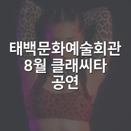 태백문화예술회관 8월 클래씨타 공연 안내