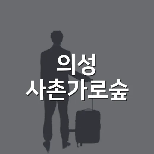 의성 사촌가로숲, 천년의 숲길 산책