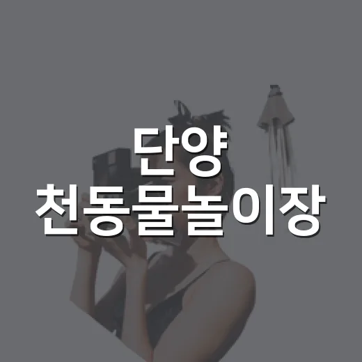 단양 천동물놀이장, 여름방학 물놀이 명소