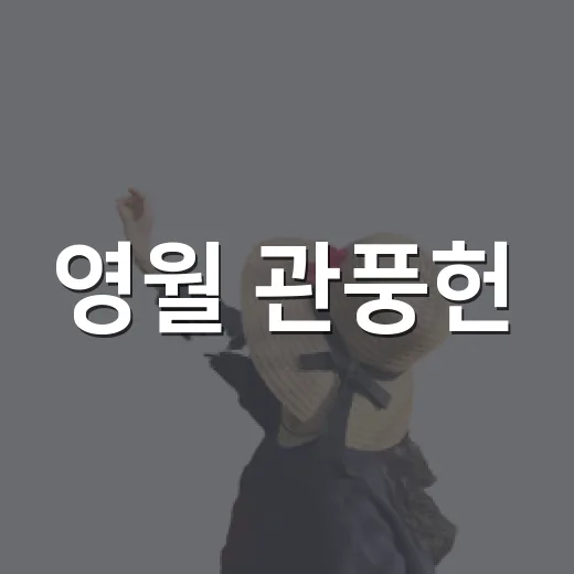 영월 관풍헌, 별빛 가득한 여름밤 축제