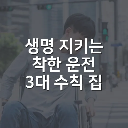 생명 지키는 착한 운전 3대 수칙 집중 단속
