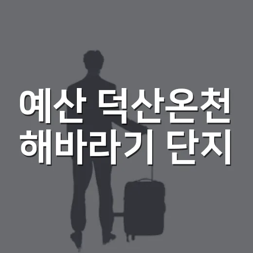 예산 덕산온천 해바라기 단지, 여름 관광명소로 부상
