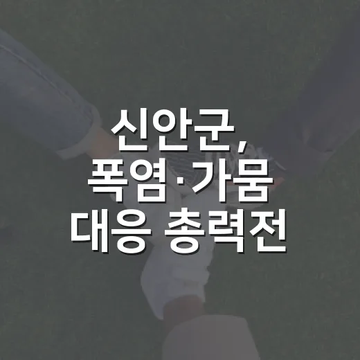 신안군, 폭염·가뭄 대응 총력전 펼친다