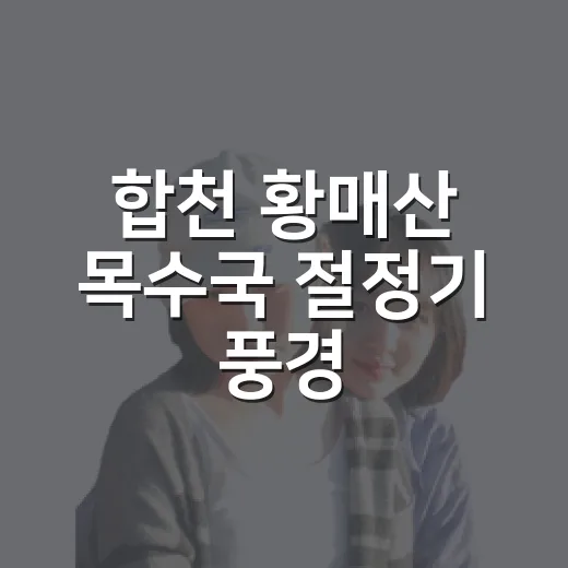 합천 황매산 목수국 절정기 풍경