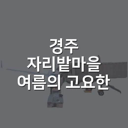 경주 자리밭마을 여름의 고요한 하루