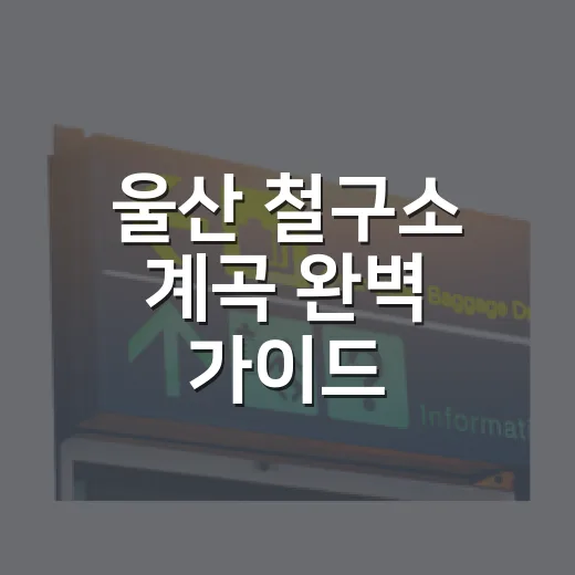 울산 철구소 계곡 완벽 가이드