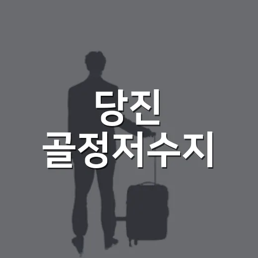당진 골정저수지, 여름 연꽃과 역사 산책 명소