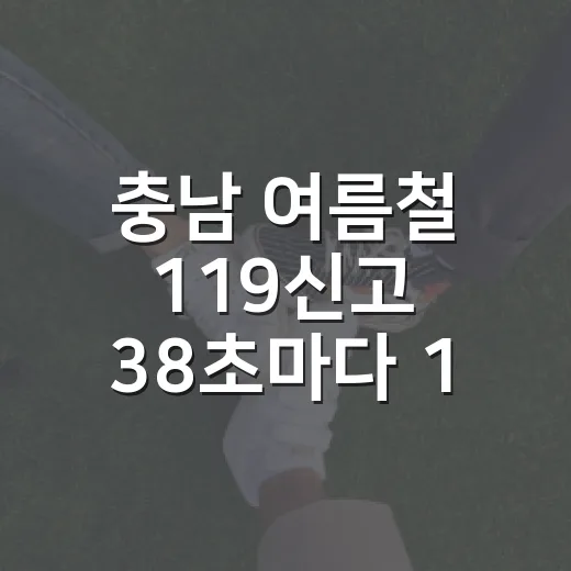 충남 여름철 119신고 38초마다 1건 접수