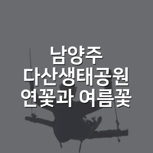 남양주 다산생태공원 연꽃과 여름꽃 산책