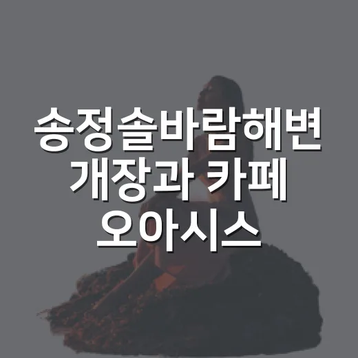 송정솔바람해변 개장과 카페 오아시스 체험기