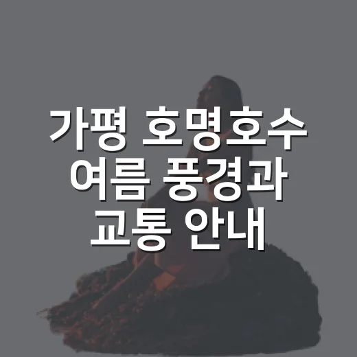 가평 호명호수 여름 풍경과 교통 안내