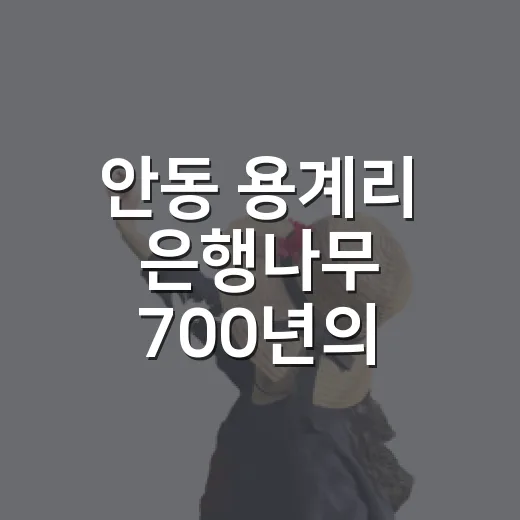 안동 용계리 은행나무 700년의 역사