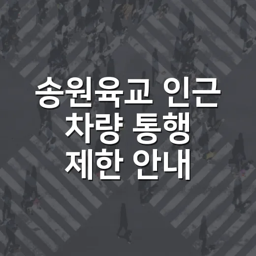 송원육교 인근 차량 통행 제한 안내