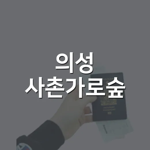 의성 사촌가로숲, 여름 힐링 숲캉스 명소