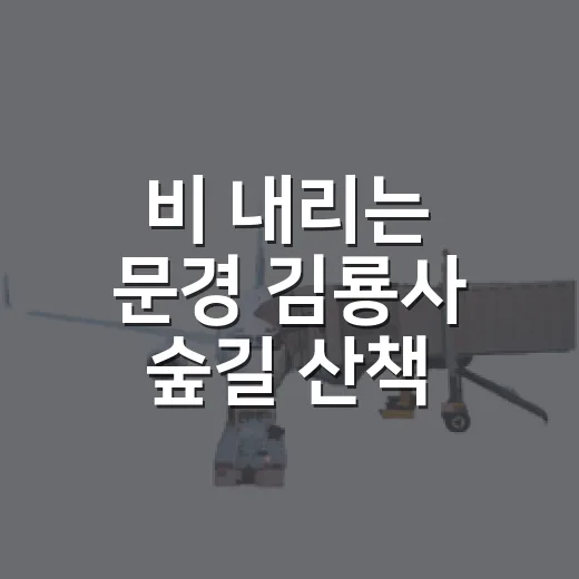 비 내리는 문경 김룡사 숲길 산책