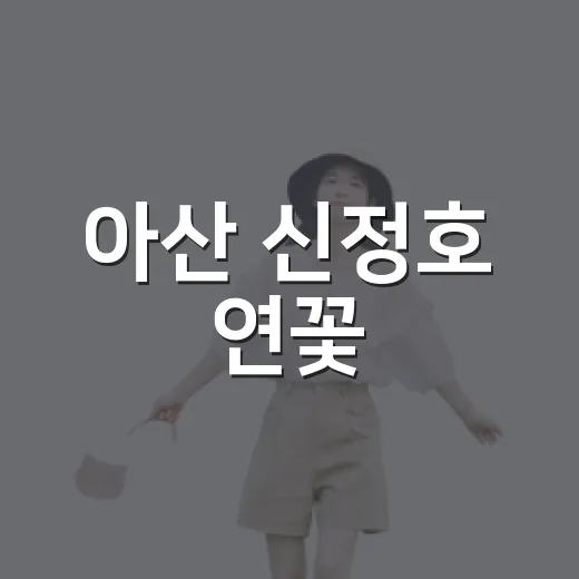 아산 신정호 연꽃, 아이와 가기 좋은 4대 명소