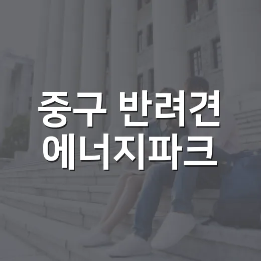 중구 반려견 에너지파크, 시원한 물놀이 공간 인기