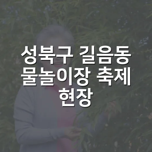 성북구 길음동 물놀이장 축제 현장