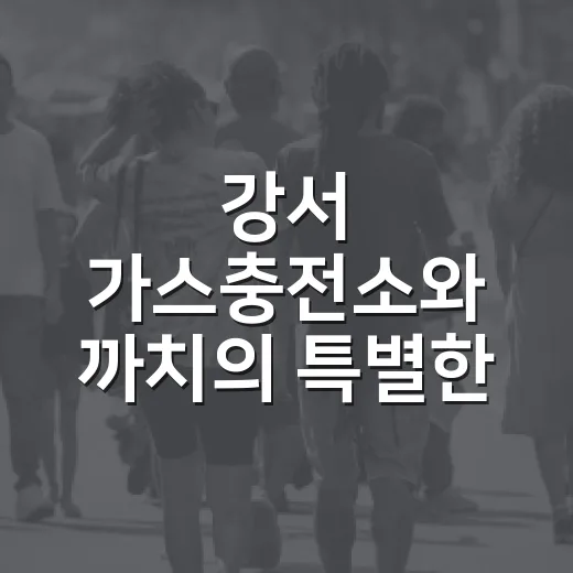 강서 가스충전소와 까치의 특별한 인연