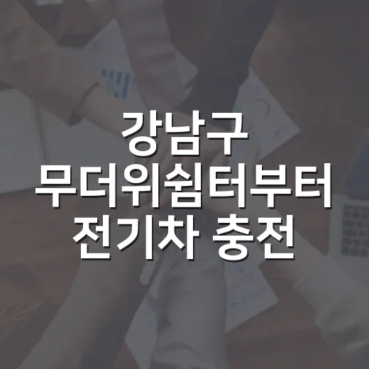 강남구 무더위쉼터부터 전기차 충전 지원까지