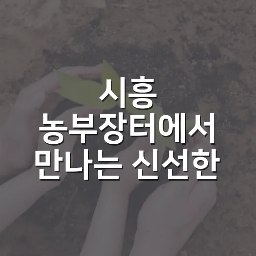시흥 농부장터에서 만나는 신선한 로컬푸드