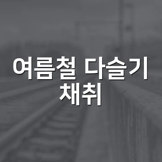 여름철 다슬기 채취, 안전이 최우선입니다