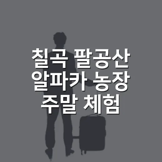 칠곡 팔공산 알파카 농장 주말 체험 추천