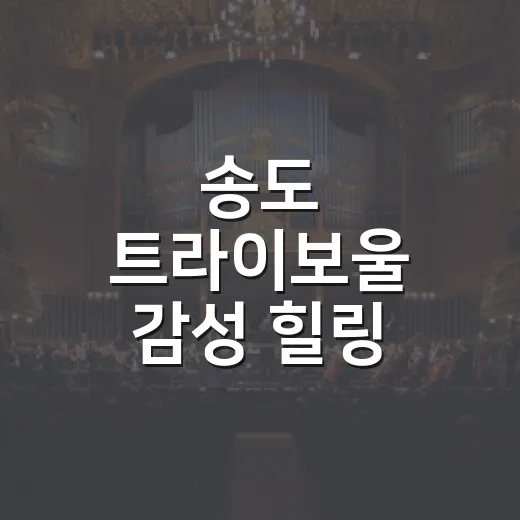 송도 트라이보울 감성 힐링 전시 행복의 나라로