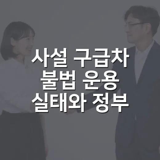 사설 구급차 불법 운용 실태와 정부 대응