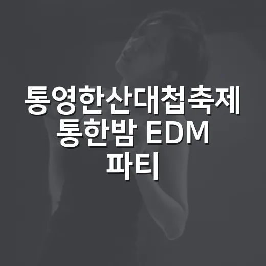 통영한산대첩축제 통한밤 EDM 파티