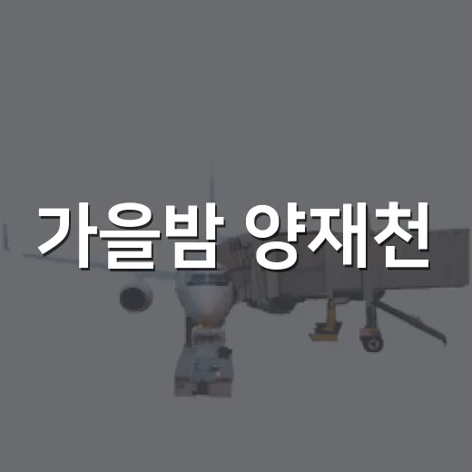 가을밤 양재천, 특별한 천천투어
