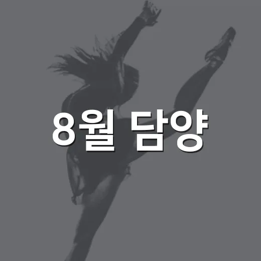 8월 담양, 문화와 예술의 향연