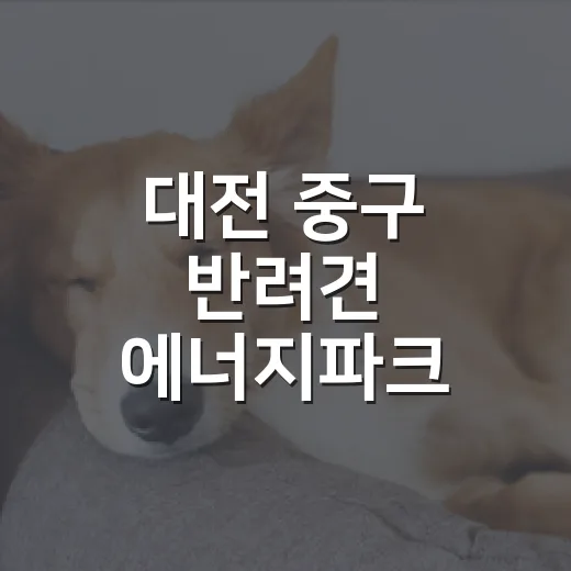 대전 중구 반려견 에너지파크 야간개장 안내