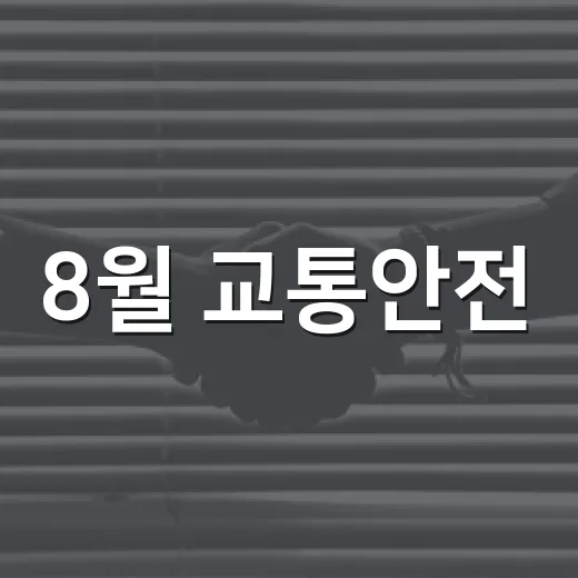 8월 교통안전, 음주운전 무관용 원칙