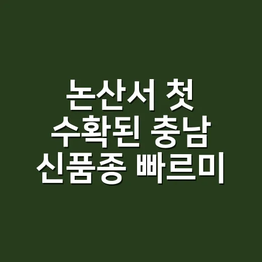 논산서 첫 수확된 충남 신품종 빠르미2
