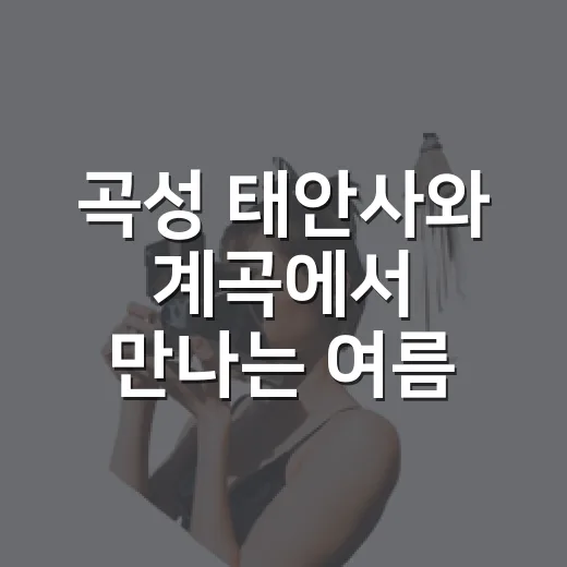 곡성 태안사와 계곡에서 만나는 여름 힐링