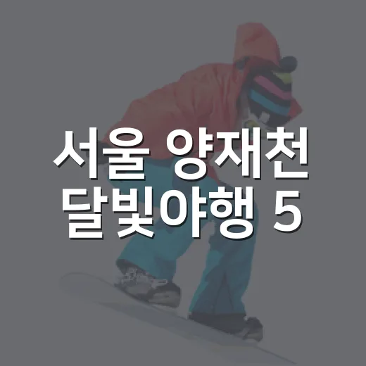 서울 양재천 달빛야행 5.8km 야간 러닝 모집