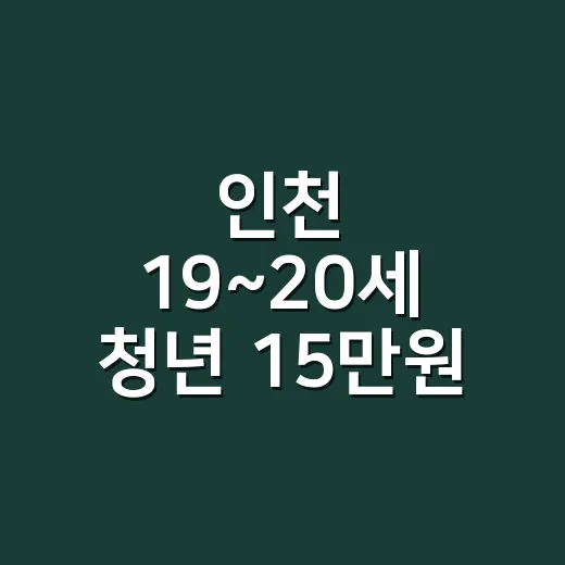 인천 19~20세 청년 15만원 문화예술패스 2차 발급 시작