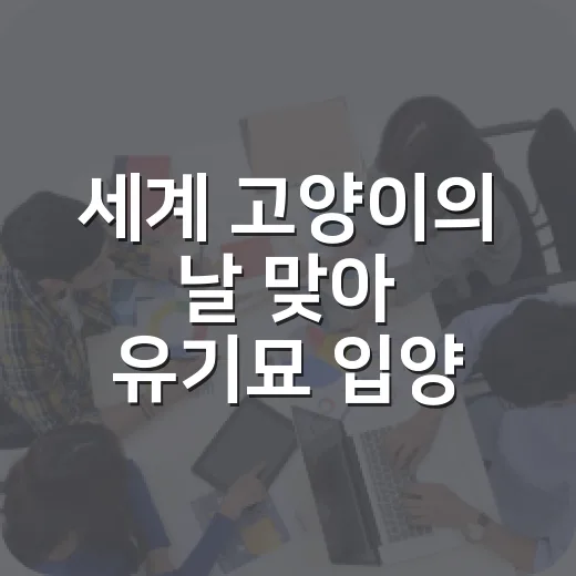세계 고양이의 날 맞아 유기묘 입양 기부 행사
