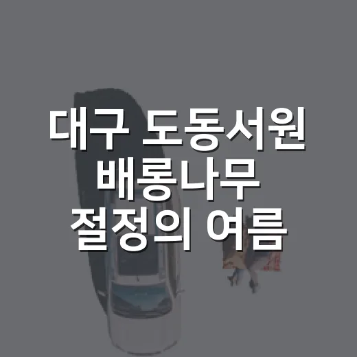 대구 도동서원 배롱나무 절정의 여름 풍경