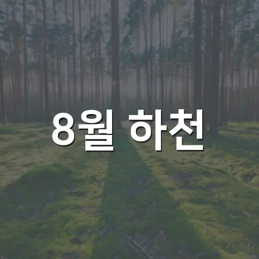 8월 하천·계곡 불법행위 집중 단속
